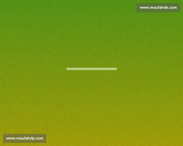 唐卡斯特迎战赫尔城英冠对决看点与走势前瞻分析关键球员表现与胜负悬念