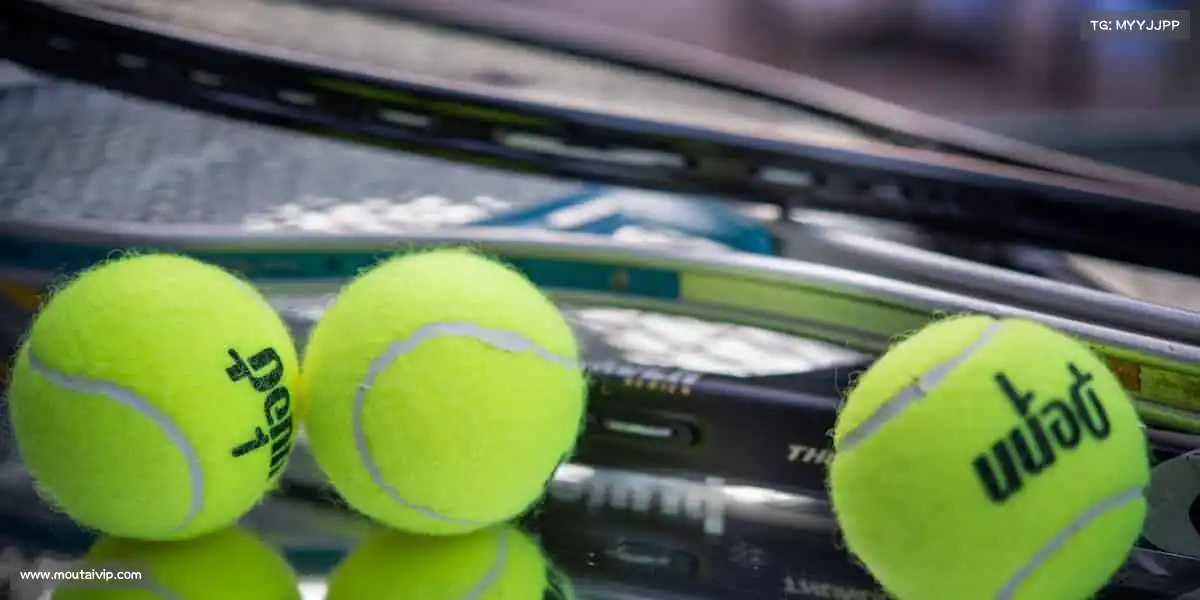 为什么选择我们